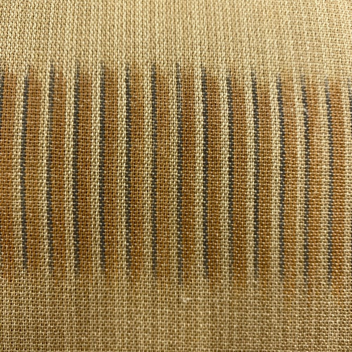 縞