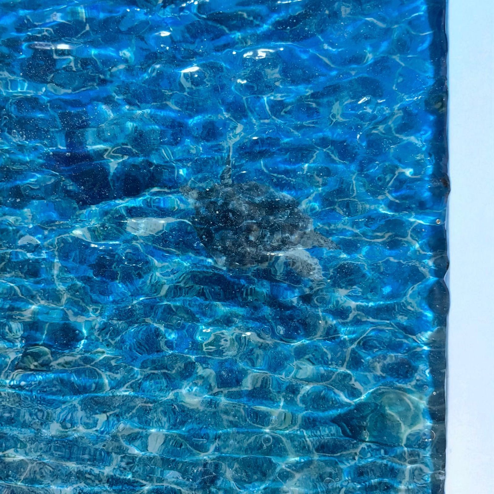 傾斜厚盛りボード 浅瀬 超立体 沖縄の海 レジンアートボード 美ら海 オーシャンアート N693 NEXPOTALLINN_EU