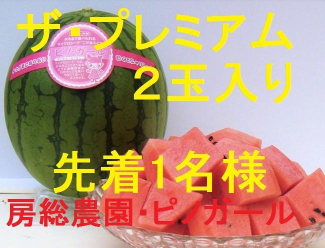 売り切れたらゴメンなさい！2玉入り！種まで食べられる大人気の高級スイカ「ピノガール」 - メルカリ