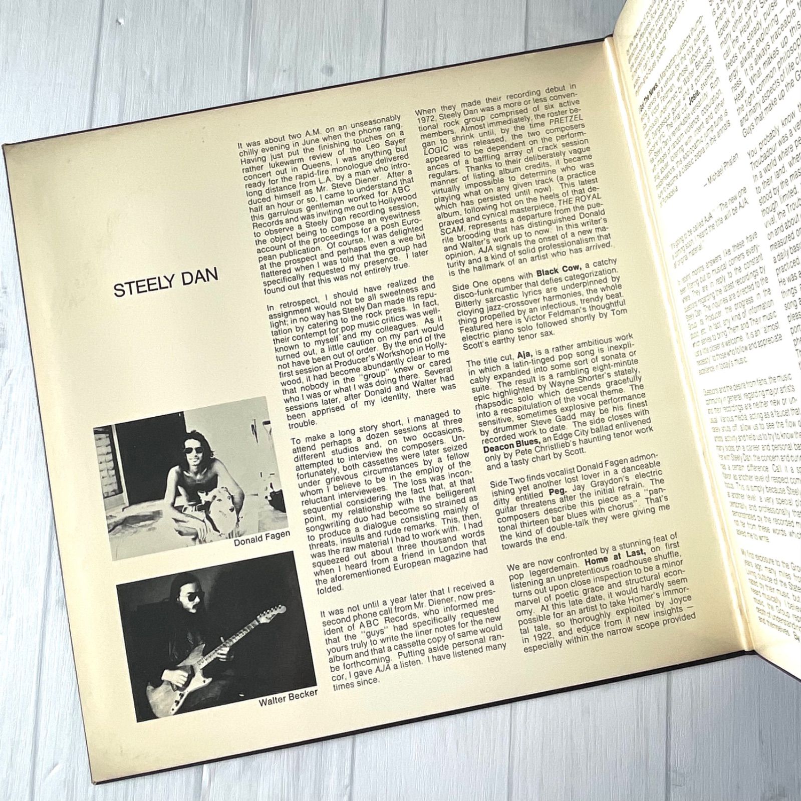 Steely Dan Aja レコード STEELY DAN / Aja (LP) / MCA | WAXPEND RECORDS