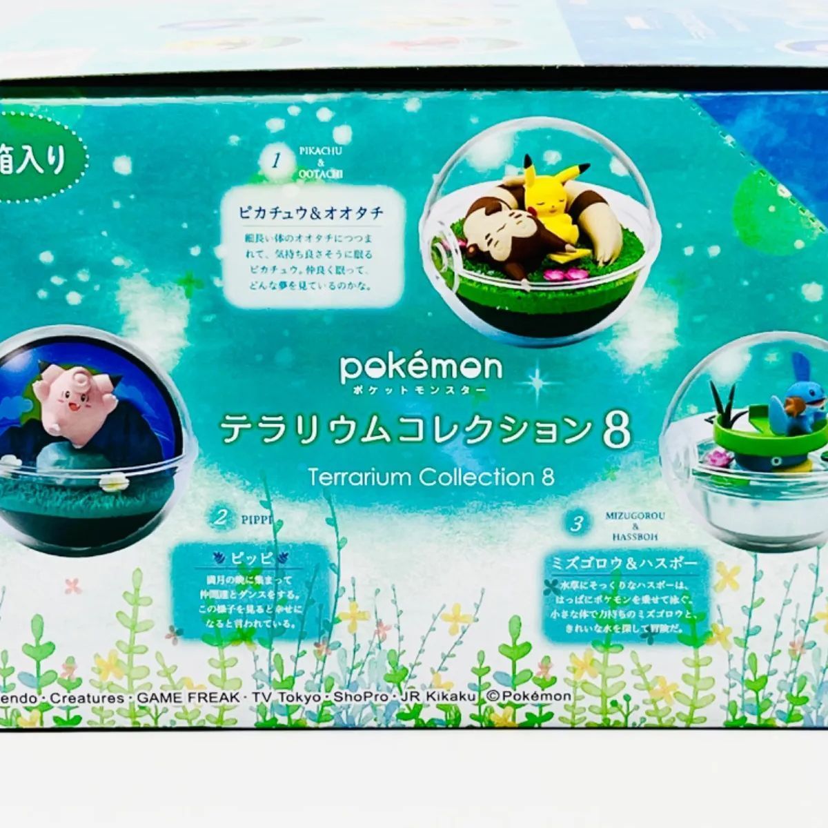 Amazon.co.jp: リーメント ポケットモンスター テラリウム