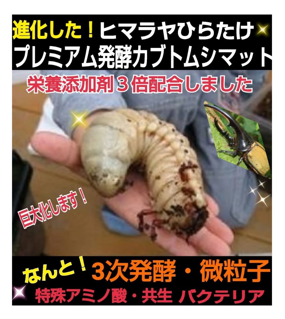 ヘラクレス幼虫が巨大化します！プレミアム3次発酵カブトムシマット【60リットル】 特選 プレミアム3次発酵カブトムシマット【100リットル】大量