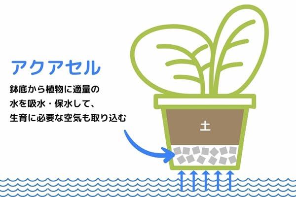 5リットル H1×D1×W1cm