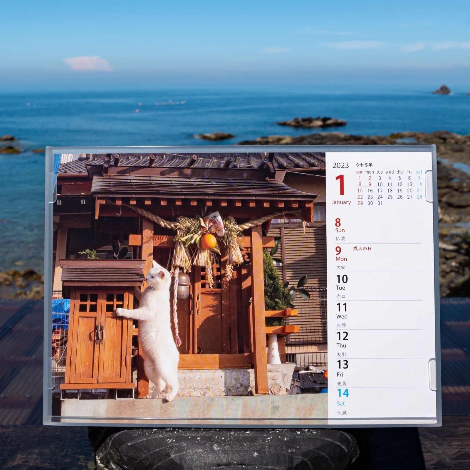 21春夏新作 新品 未使用 週めくりカレンダー23 島ねこ日めくり２ カレンダー スケジュール Lavacanegra Com Mx Lavacanegra Com Mx