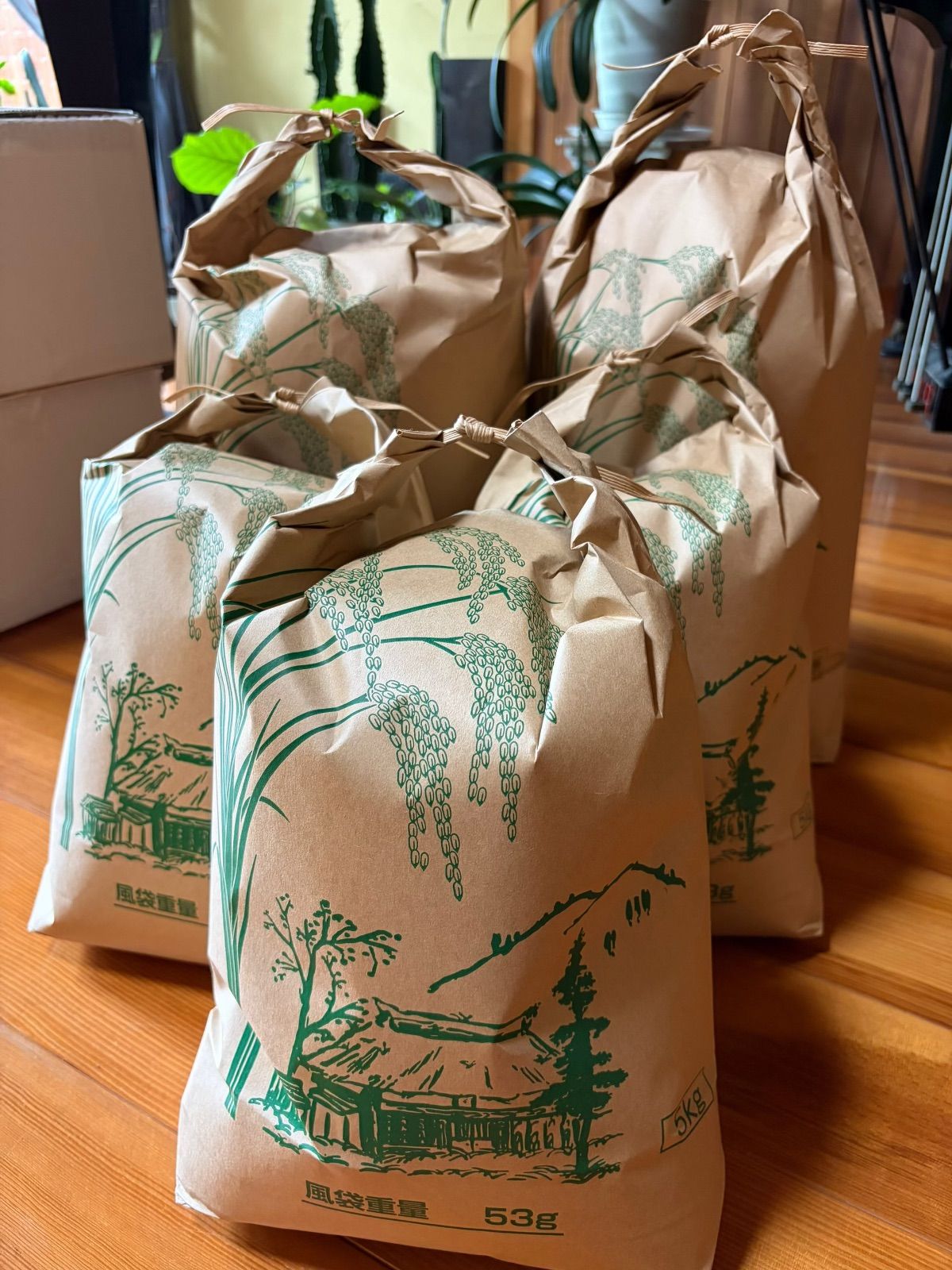 令和7年収穫 京丹後産コシヒカリ 30kg 玄米 農家直送