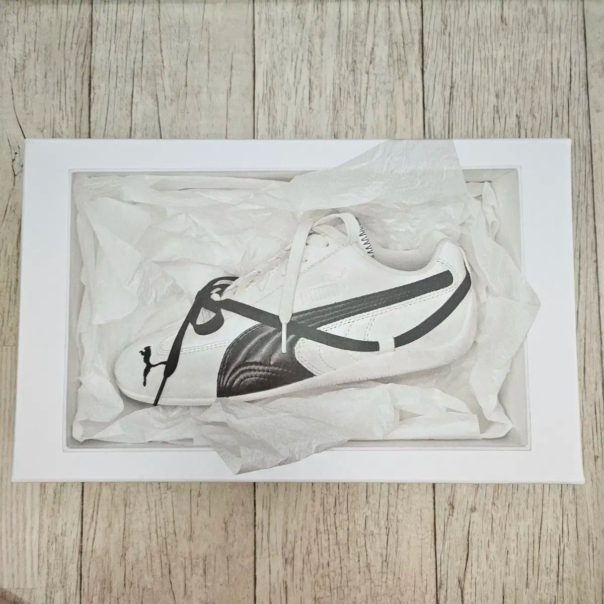 PUMA プーマ ロゼ スピードキャット