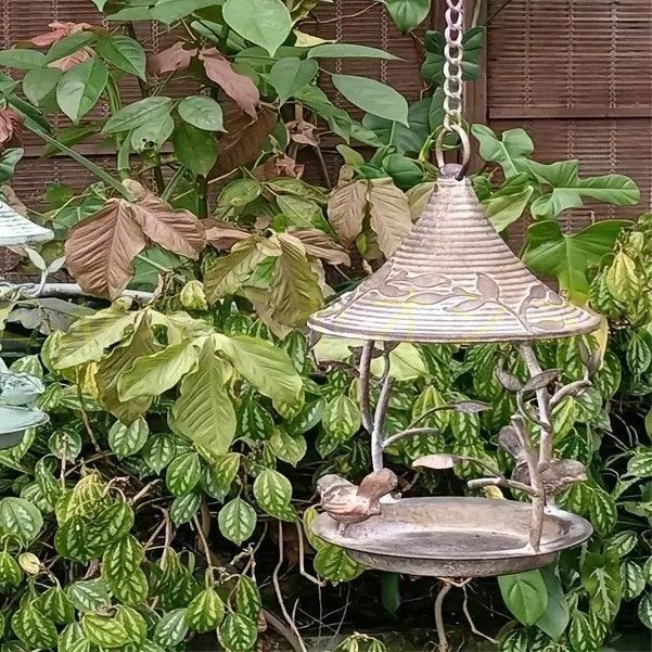 ガーデンオーナメント 鳥 鋳鉄製 バードフィーダー バードウォッチング