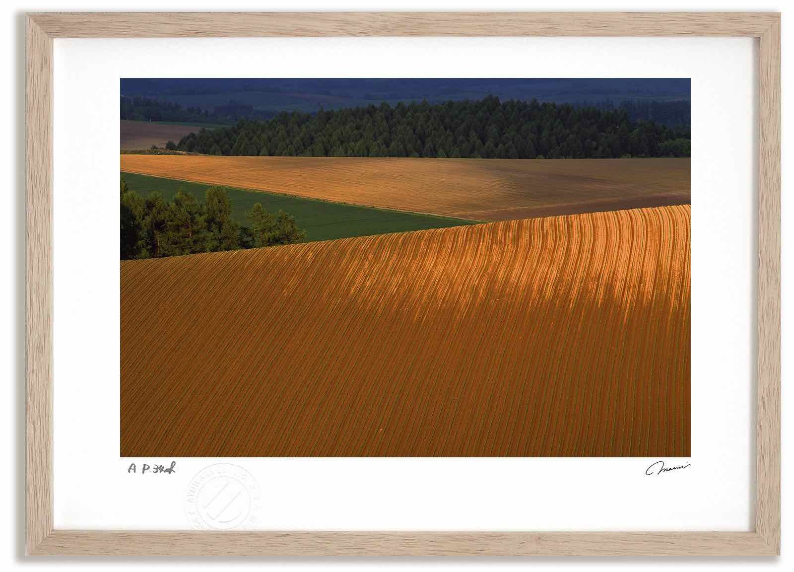 アートフォト 絵画 畑の文様3 高橋真澄/インテリア 額入り 額装込 風景画 油絵 ポスター アート アートパネル リビング 玄関 プレゼント モダン アートフレーム 飾る Mサイズ おしゃれ 壁掛け