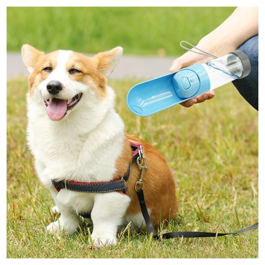 給水器