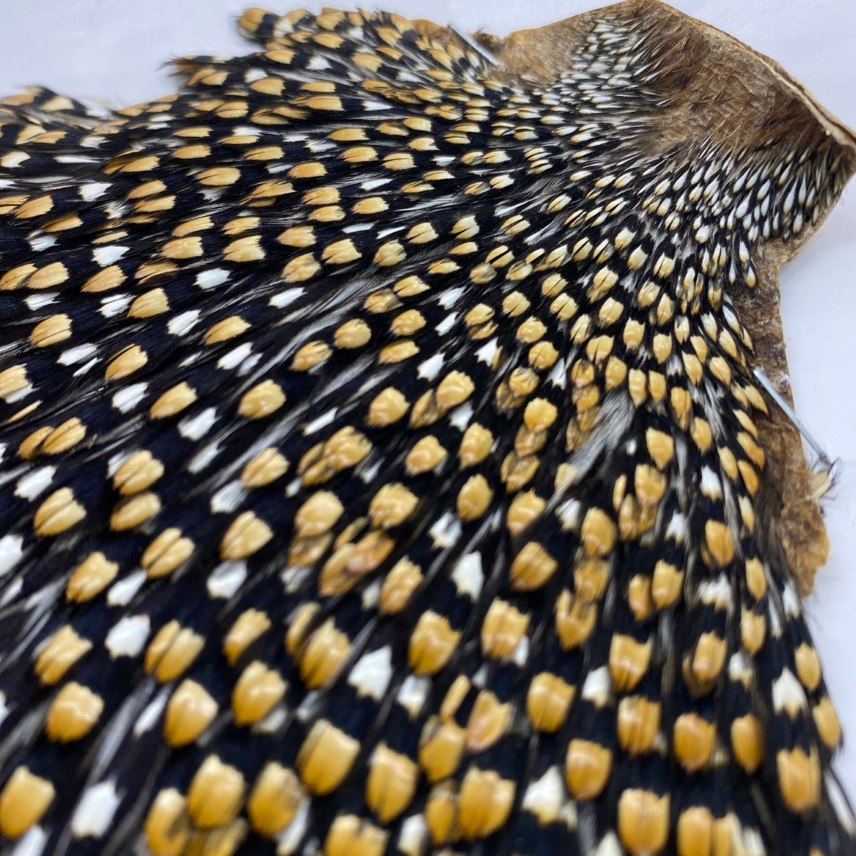 Jungle Cock 公式 ジャングルコック フライマテリアル