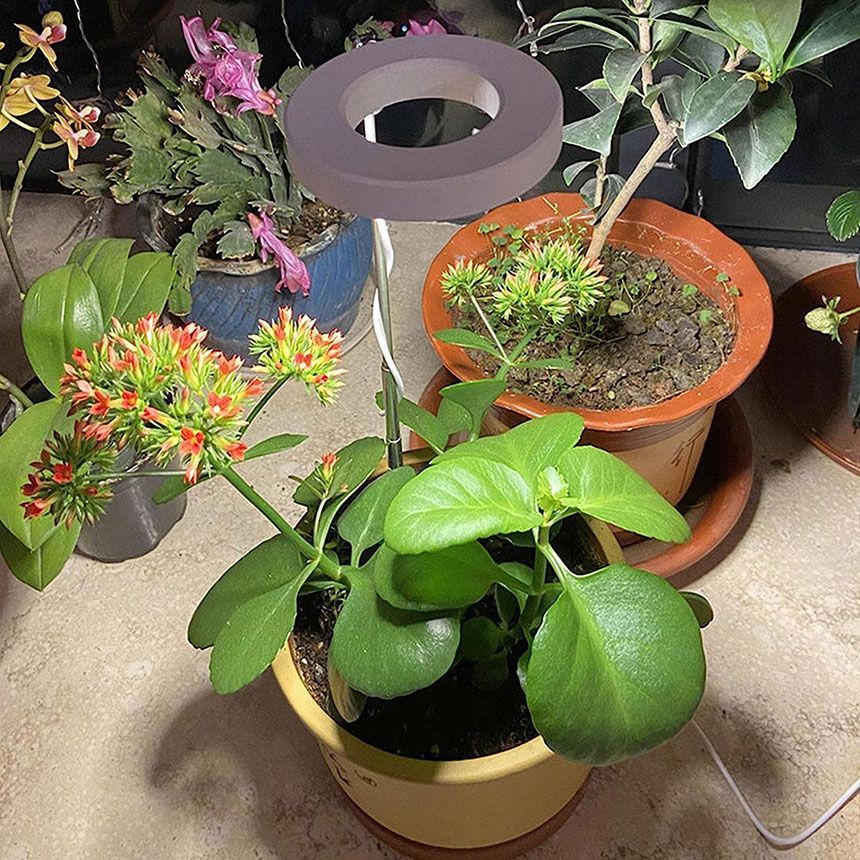 LED植物育成ライト 植物育成ライト 鉢植えに差し込む 2点セット