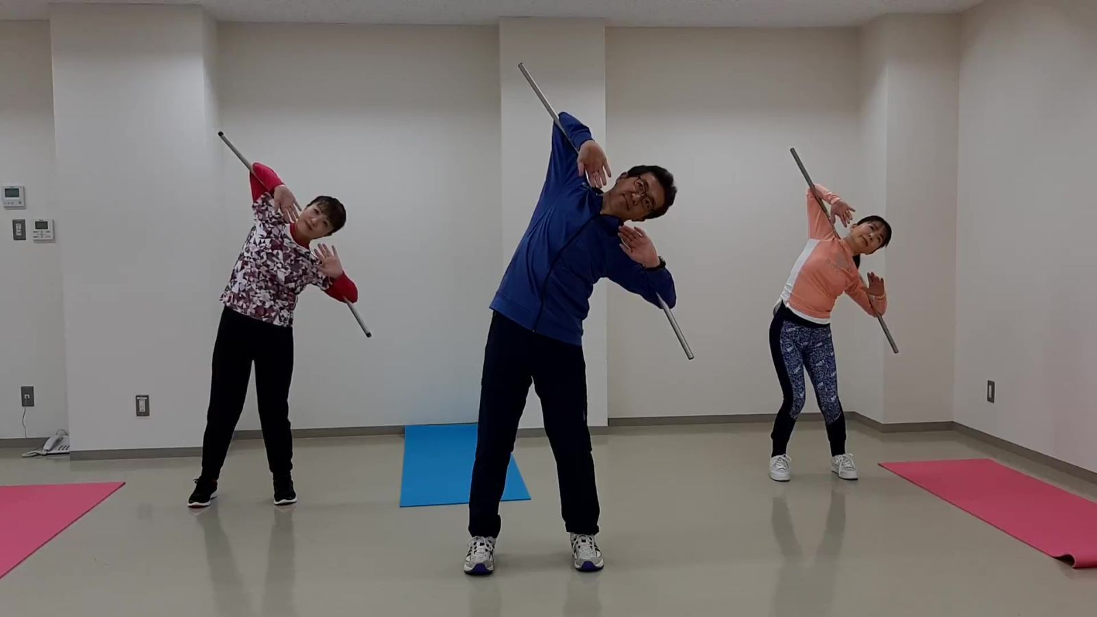 スイングバーPRO Lサイズ 【ステンレス製・3分割タイプ】 スイングバー