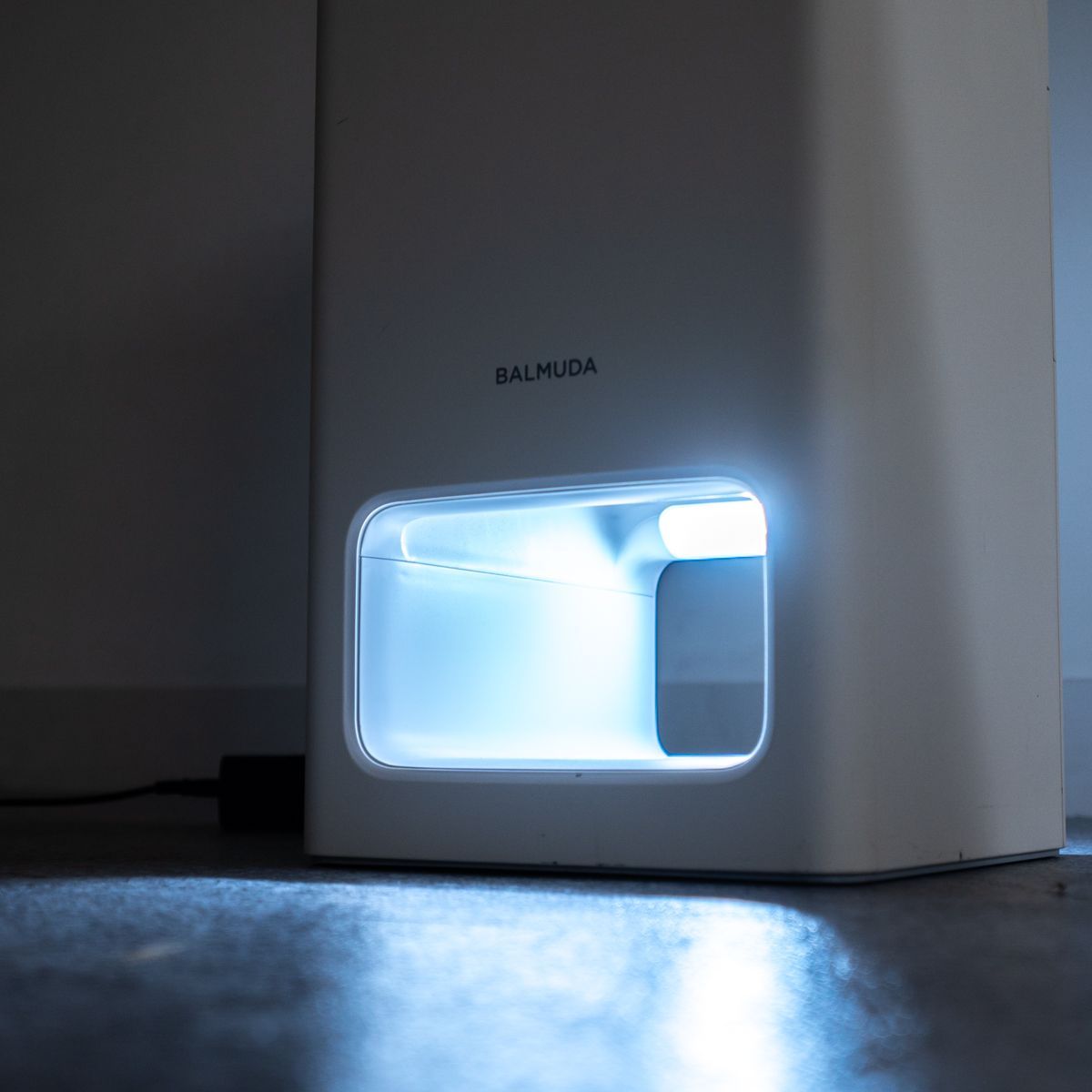 バルミューダ The