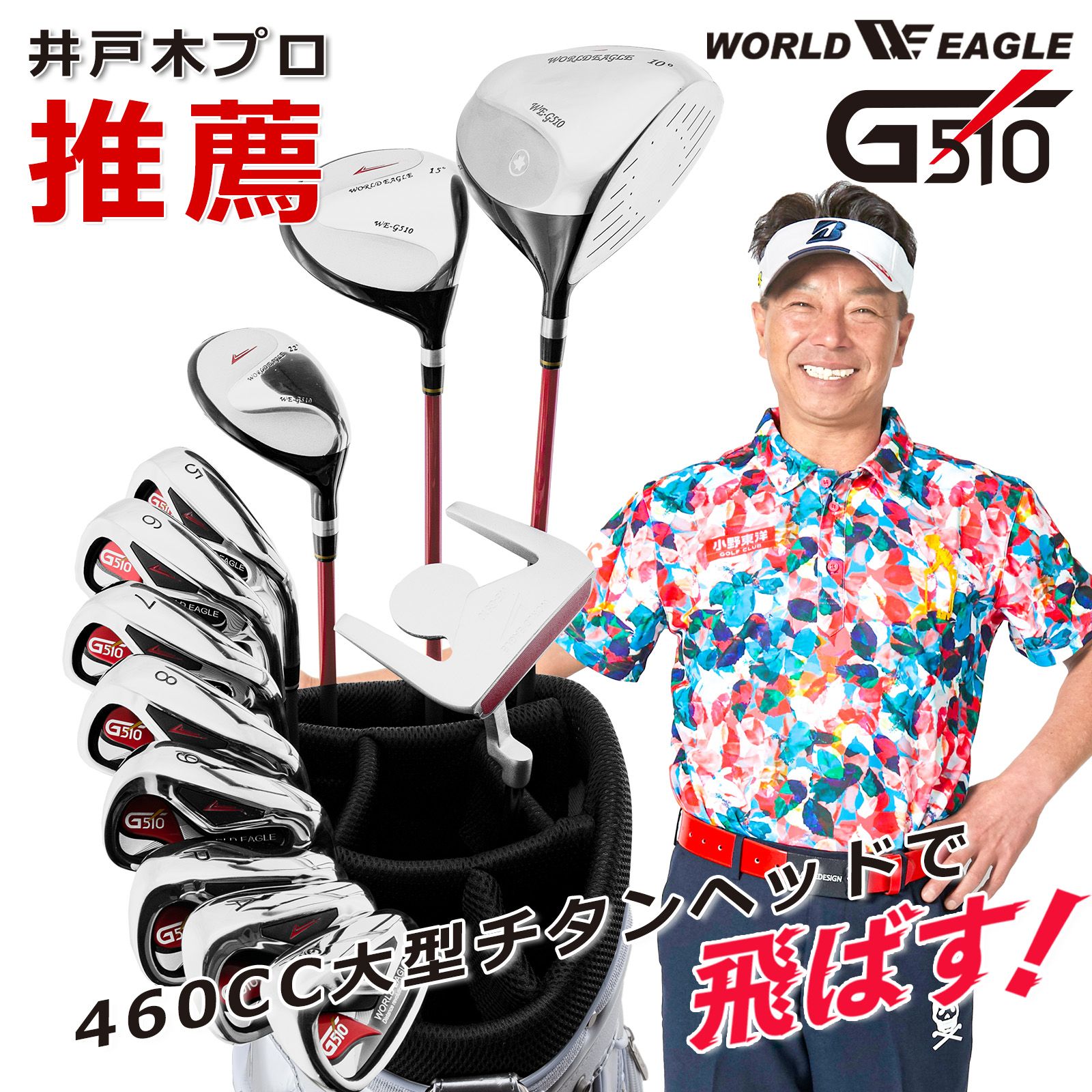 (公式)ワールドイーグル WE G510 メンズ クラブセット 【右利き用/左利き用】 付属バッグ：CBR5 カートバッグ シルバー