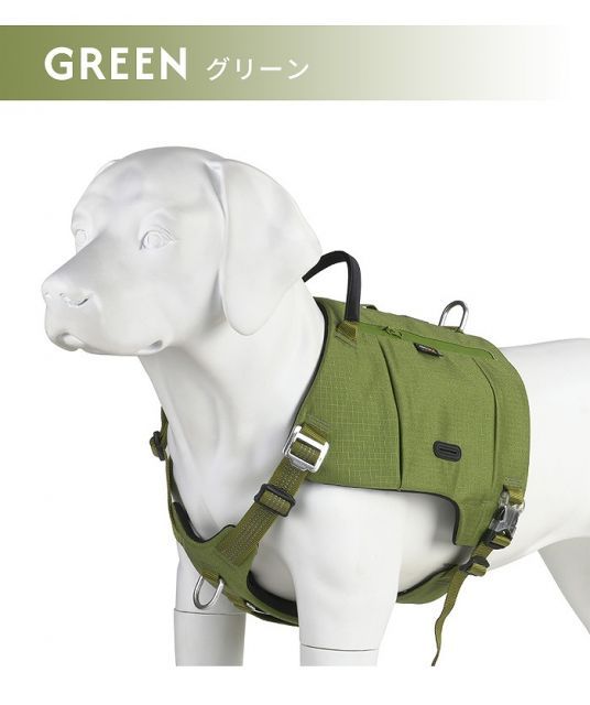 犬