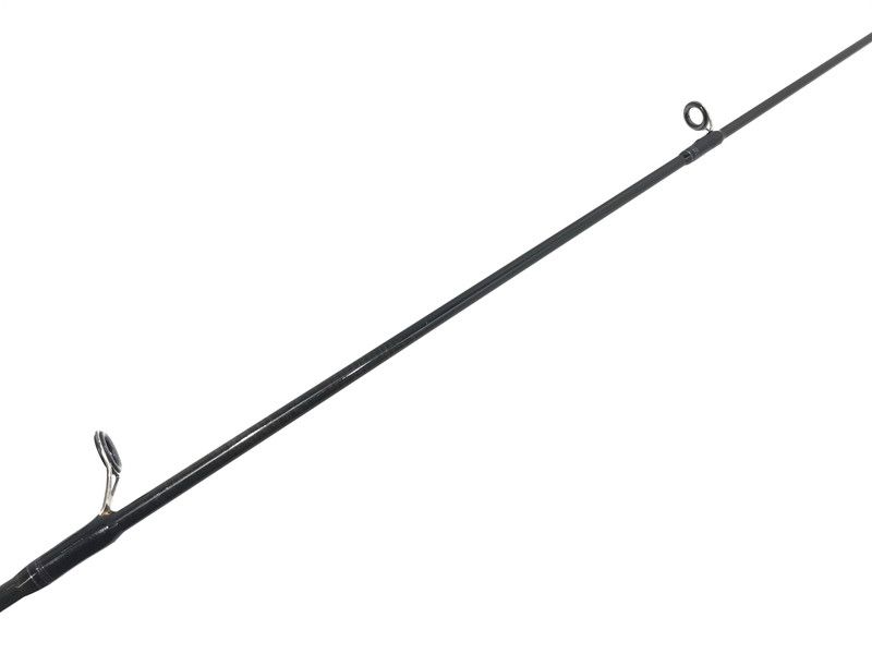 Daiwa BLACK WIDOW バスロッド OLD オールド Daiwa | BLACK WIDOW XT CARP