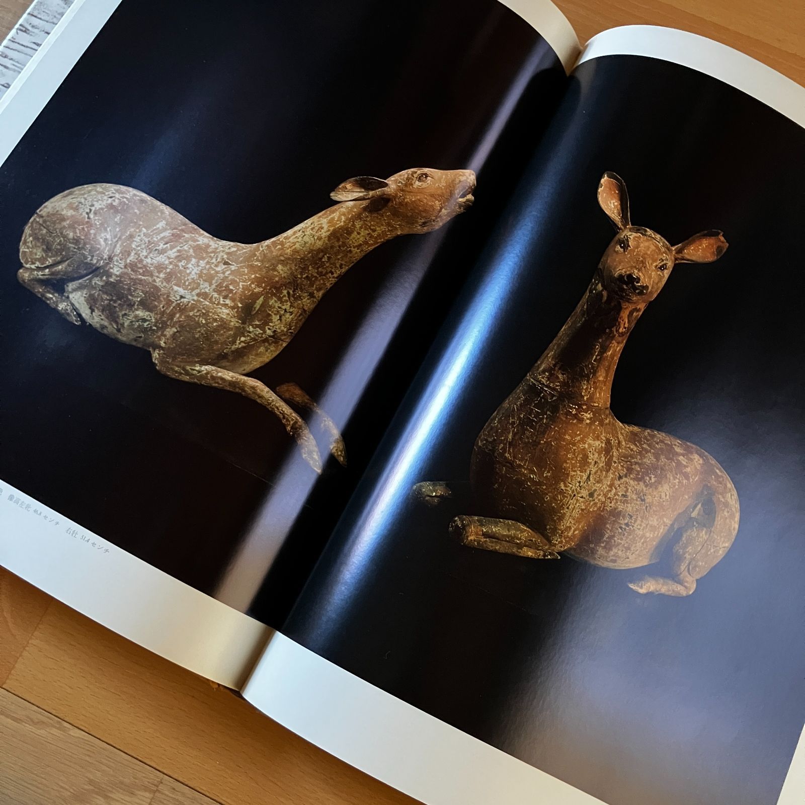 古寺巡礼 国際版 全5巻揃 土門拳 美術出版社 昭和55年 5冊 45cm 写真集