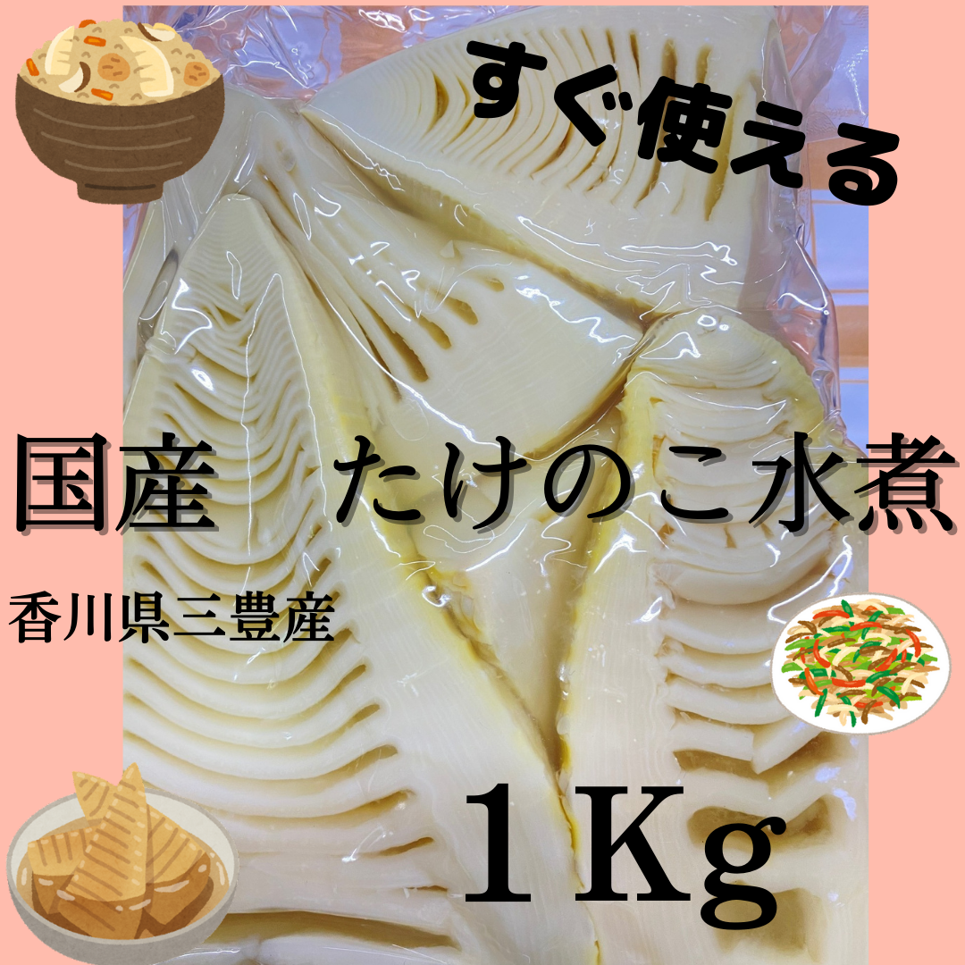 季節限定 京都産 たけのこ 5kg - その他