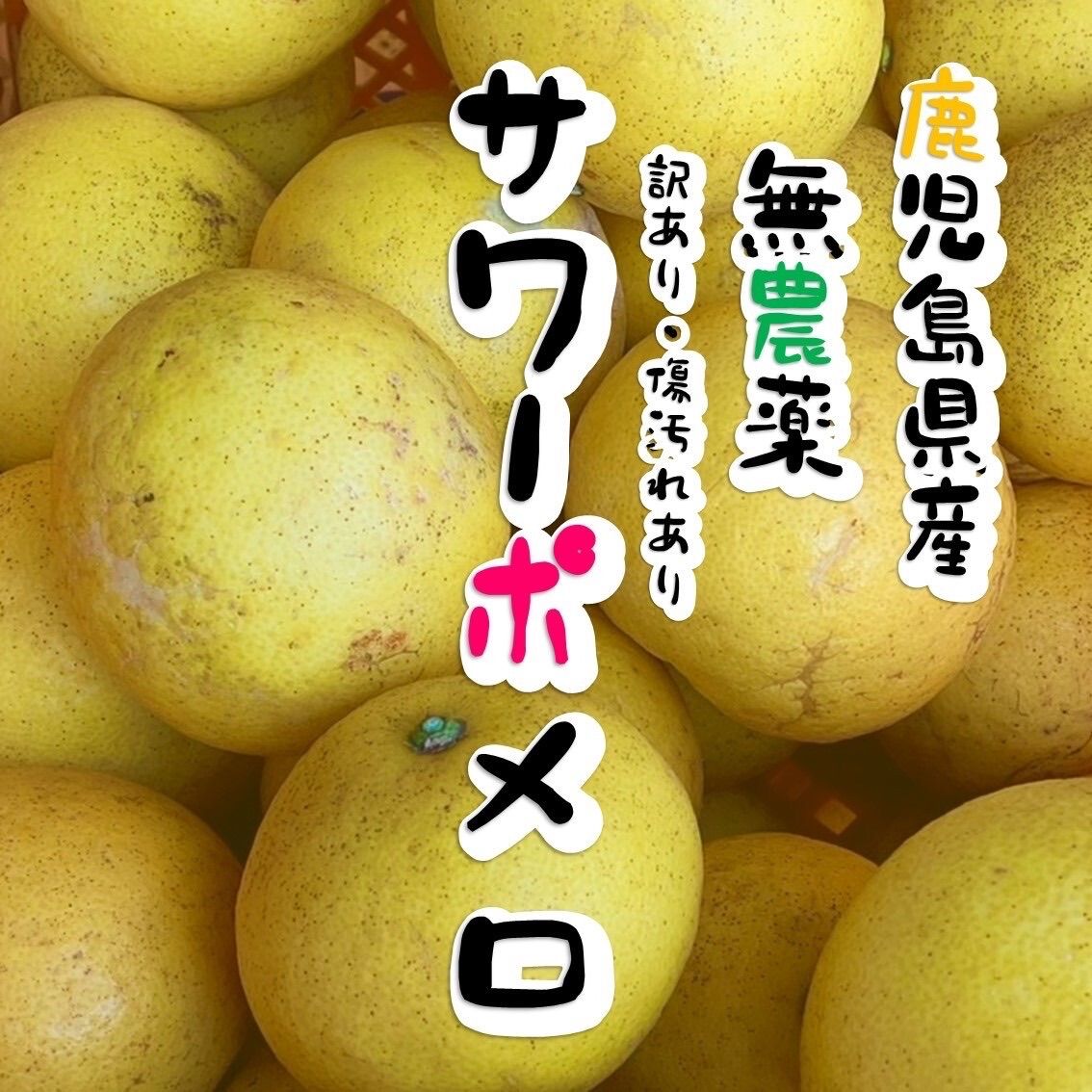 サワーポメロ 無農薬 鹿児島産 柑橘 送料無料 - 果物