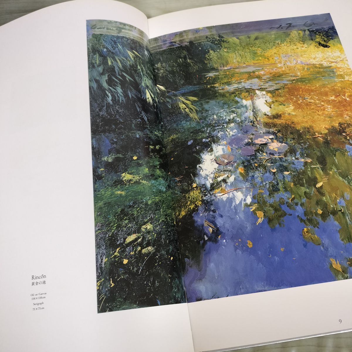 J.TORRENTS LLADO Vol.3 J.トレンツ・リャド 図録 画集 作品集 1993年