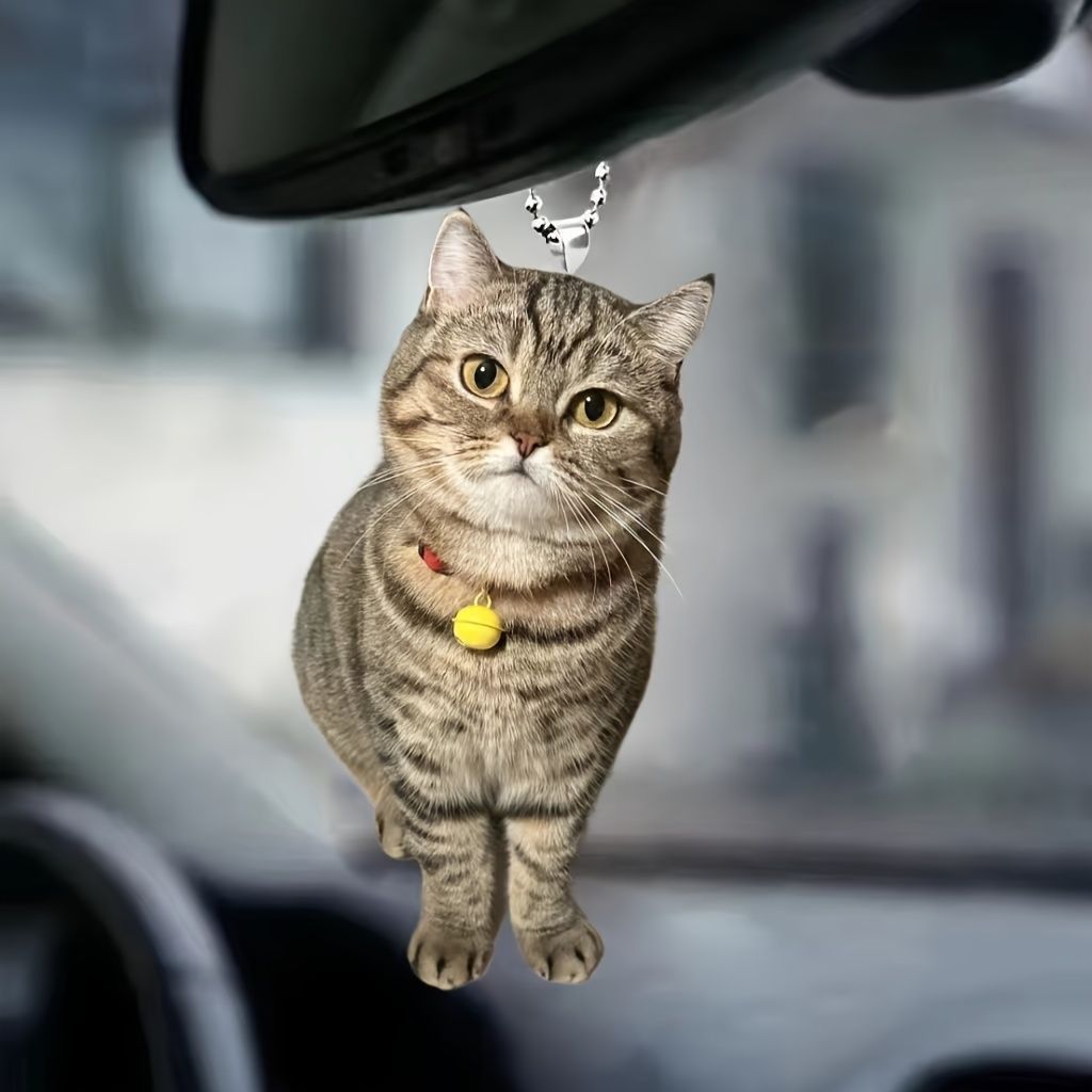 ねこ kazu✨ on X: 