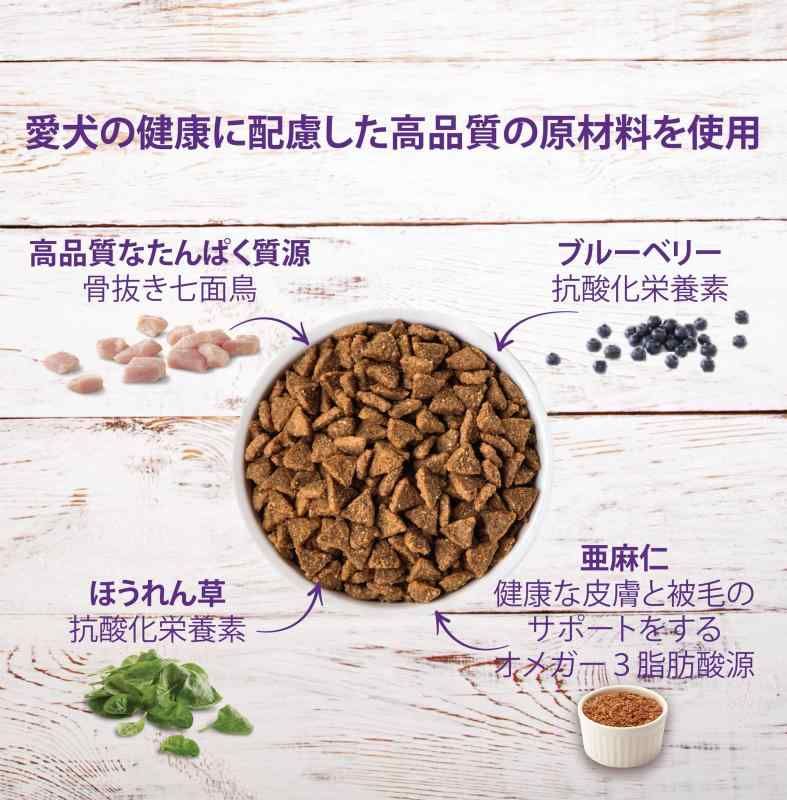 小型犬成犬用