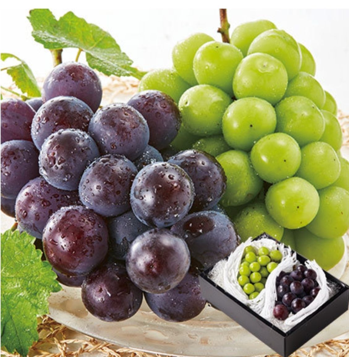 岡山産 大粒シャインマスカット-ニューピオーネ ２品種詰め合せ 御中元 ギフト