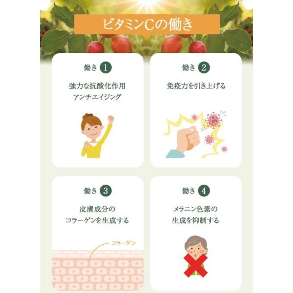 ニューサイエンス ビタミンC+ ビタミンC 180粒×3個 サプリメント