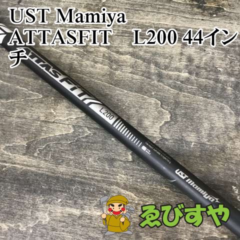 アガベ パリートランカータ ライムストリーク 美株 No.165 人気 No.165