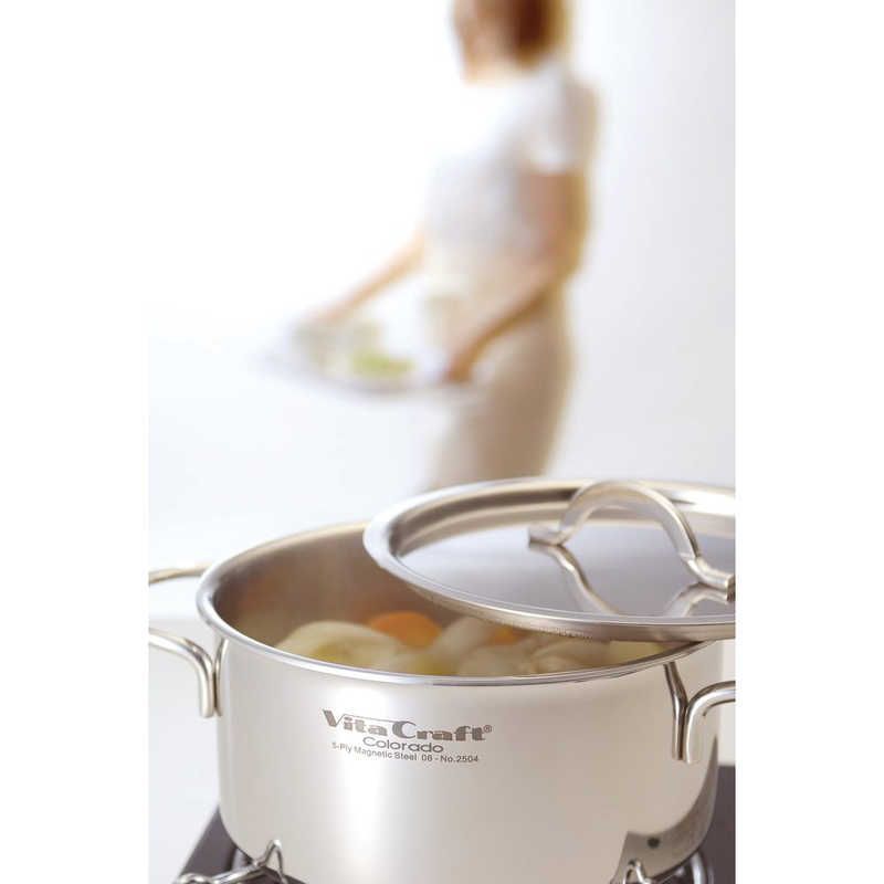 未開封 ビタクラフト ≪ＩＨ対応≫コロラド 両手ナベ ３．１Ｌ ２０ｃｍ 2504 ♥ 送料無料 WWW_SKLAD-KIRPICHA_RU