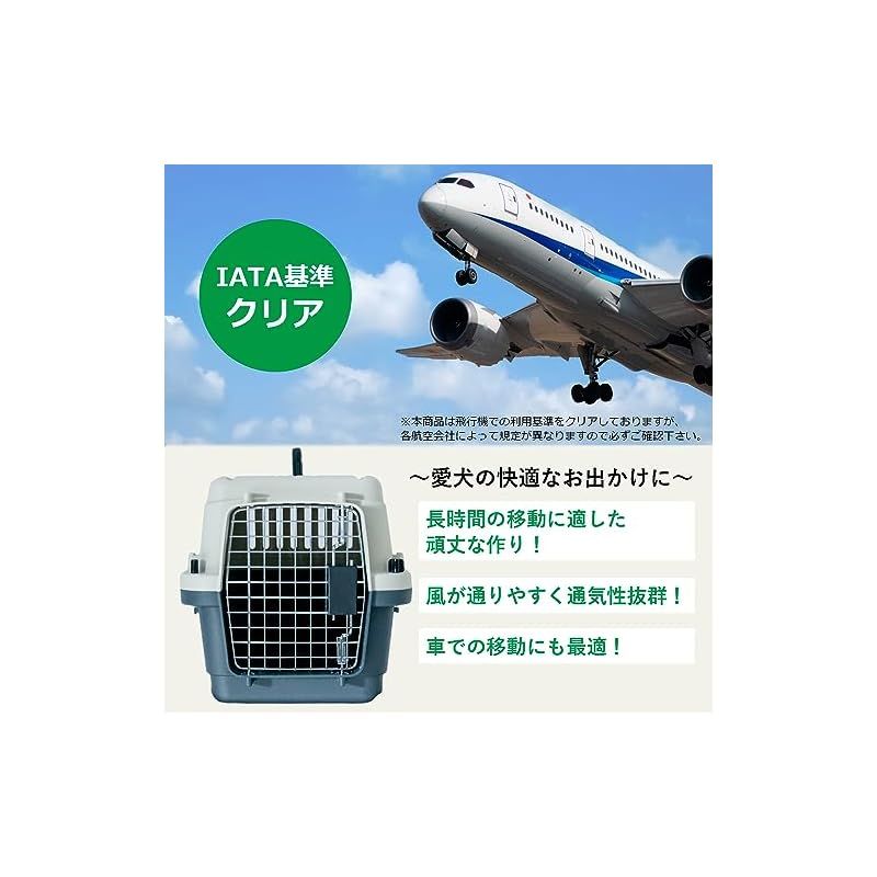  プチリュバン すのこ付き キャリーバッグ60 L IATA 基準クリア 外寸 幅40.5×高40.5×奥行60.5 cm 小 中犬用 1 キャリーバッグ 猫用品