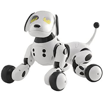 【ジャンク品】Omnibot Hello! Zoomer 中古】 Omnibot Hello! Zoomer - メルカリ