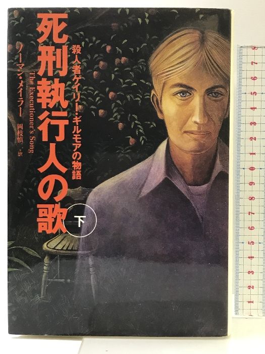 死刑執行人の歌 : 殺人者ゲイリー・ギルモアの物語 上巻　下巻セット 死刑執行人の歌 下: 殺人者ゲイリー・ギルモアの物語 | ノーマン