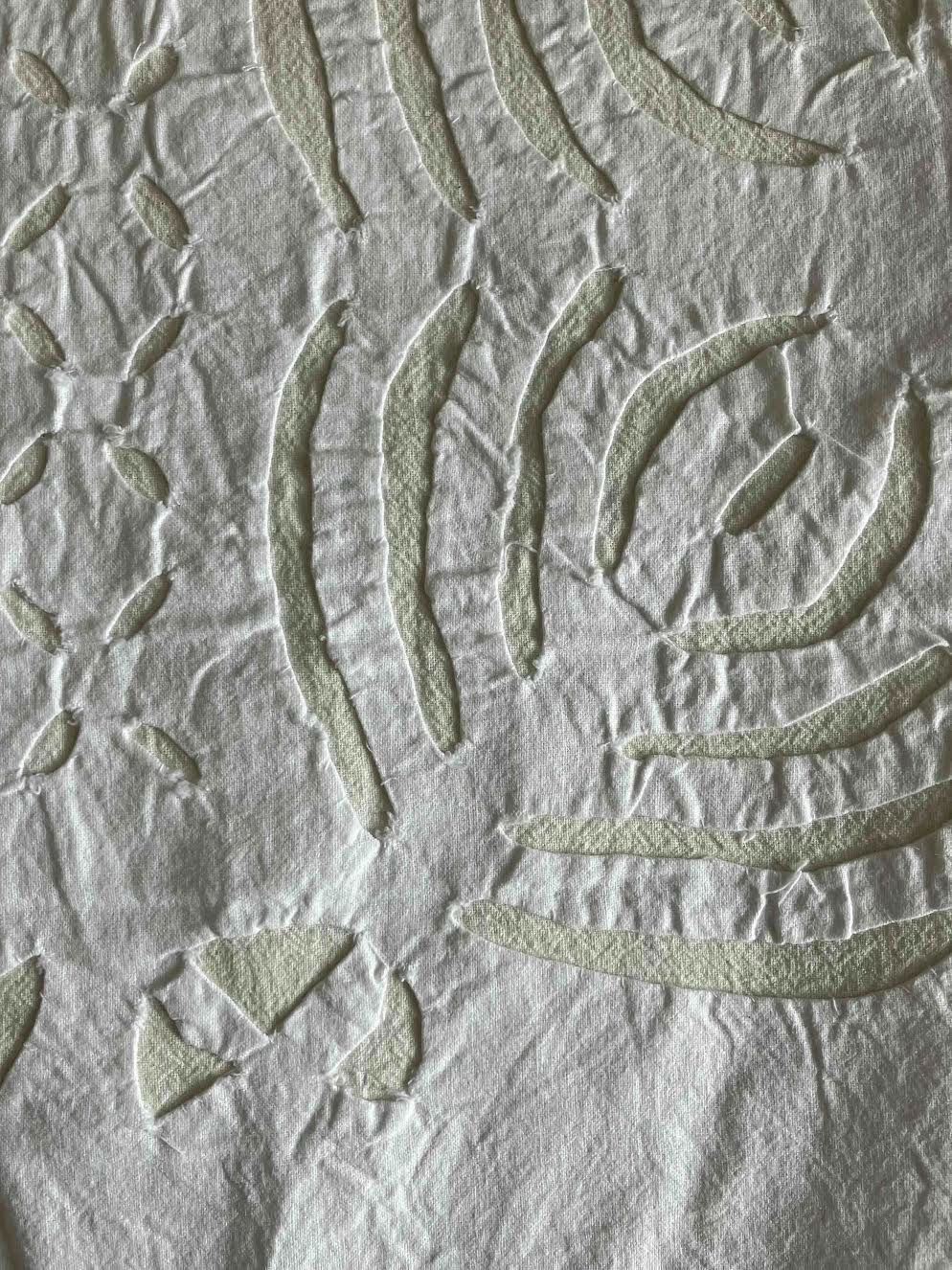 コットン１００％