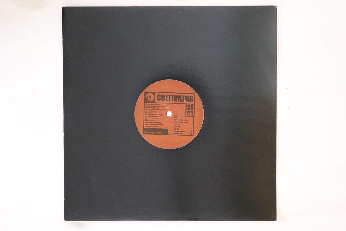 12” Cultivator Voice Of Love | Disk-1 FLHLP17 Flying High |00250