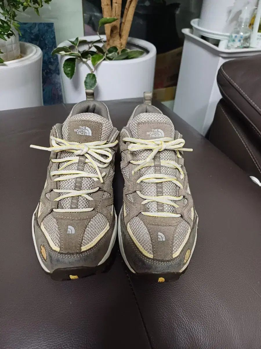 THE NORTH FACE ザノースフェイス 登山 スニーカー 250 255