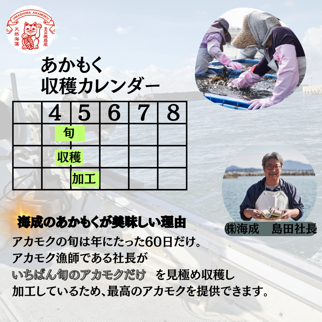 【天然アカモク】玄界灘の海成のアカモク　あかもく900ｇ|海成