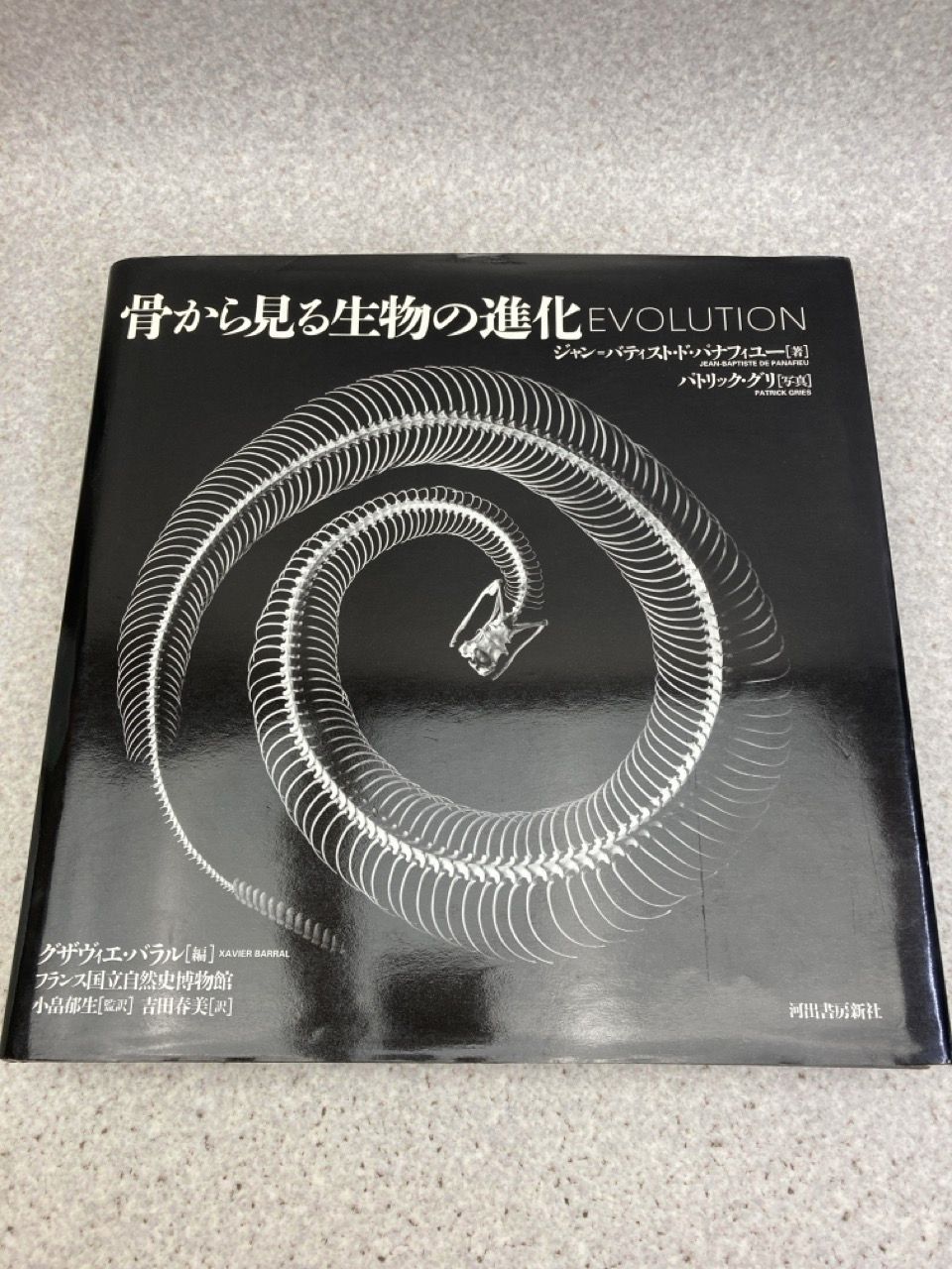 骨から見る生物の進化　EVOLUTION