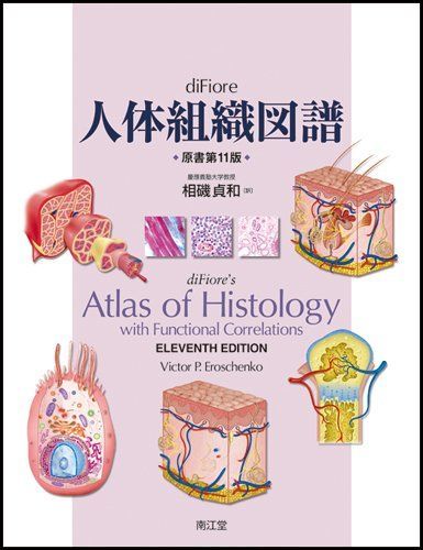 diFiore人体組織図譜　11版 diFiore人体組織図譜（原書第11版）