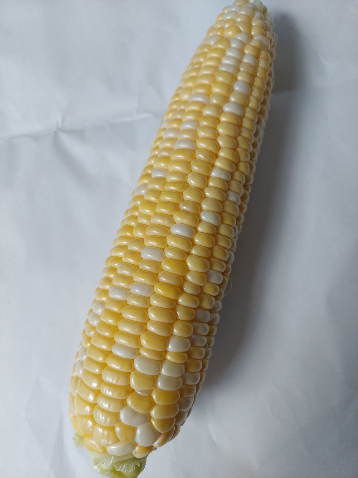 1ove96c様専用画面です。 信州産 朝採りとうもろこし(ドルチェ 1ove96c様専用画面です。 信州産 朝採りとうもろこし(ドルチェ