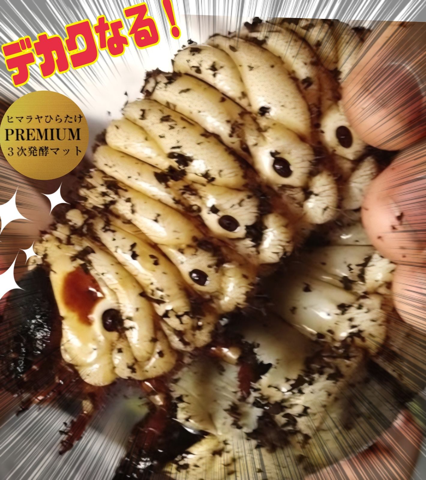 産卵にも抜群です