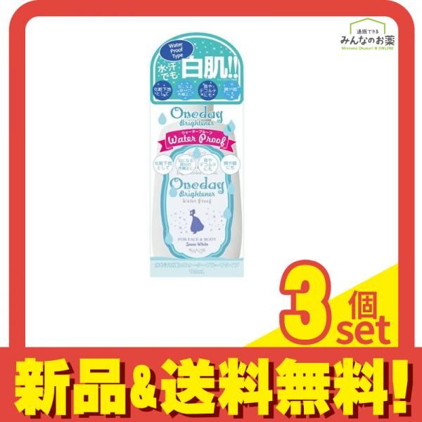 ワンデイブライトナー  ウォータープルーフ 120mL 3個セット まとめ売り