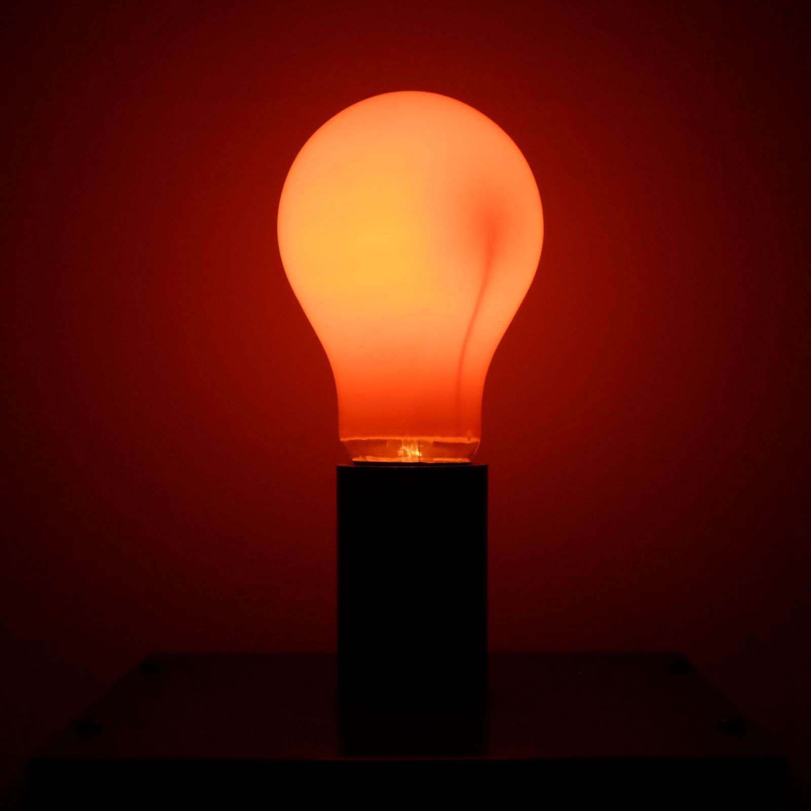 Toshiba 東芝 あかりじょうず 低誘虫電球 60w 昭和レトロ 白熱電球