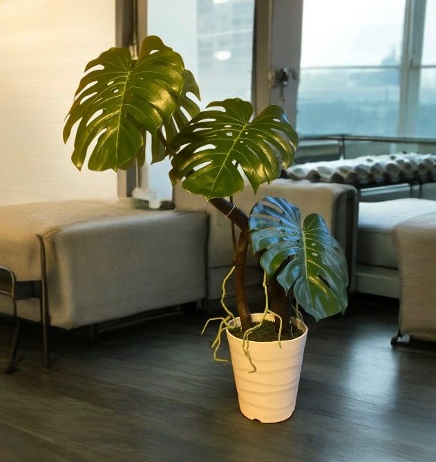 光触媒 人工観葉植物 ウォールグリーン フェイクグリーン