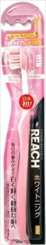 まとめ買い-72点セット リーチ ホワイトニング とってもコンパクト やわらかめ 銀座ステファニー 歯ブラシ