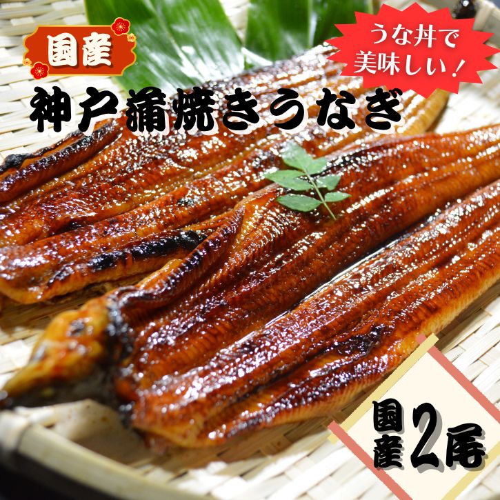 うな丼で美味しい 神戸蒲焼きうなぎ 2尾
