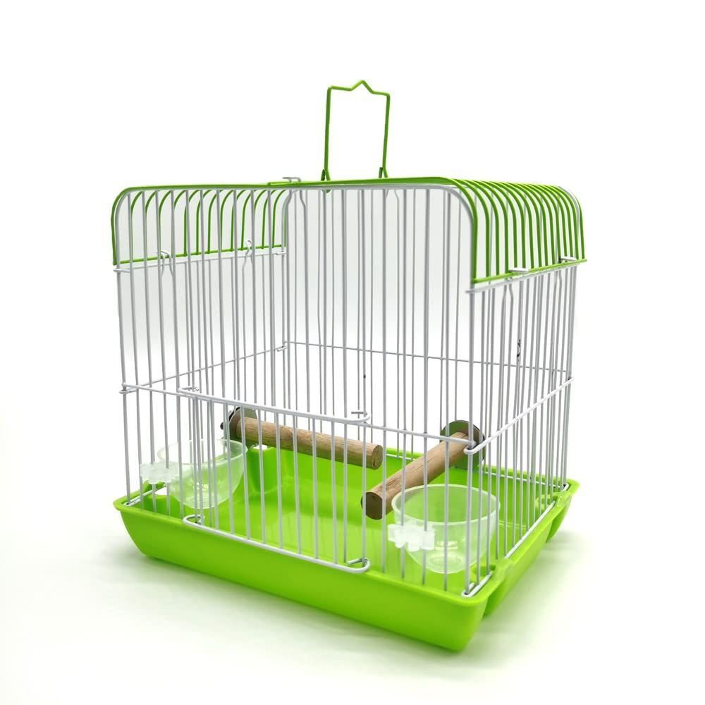 通院 インコ