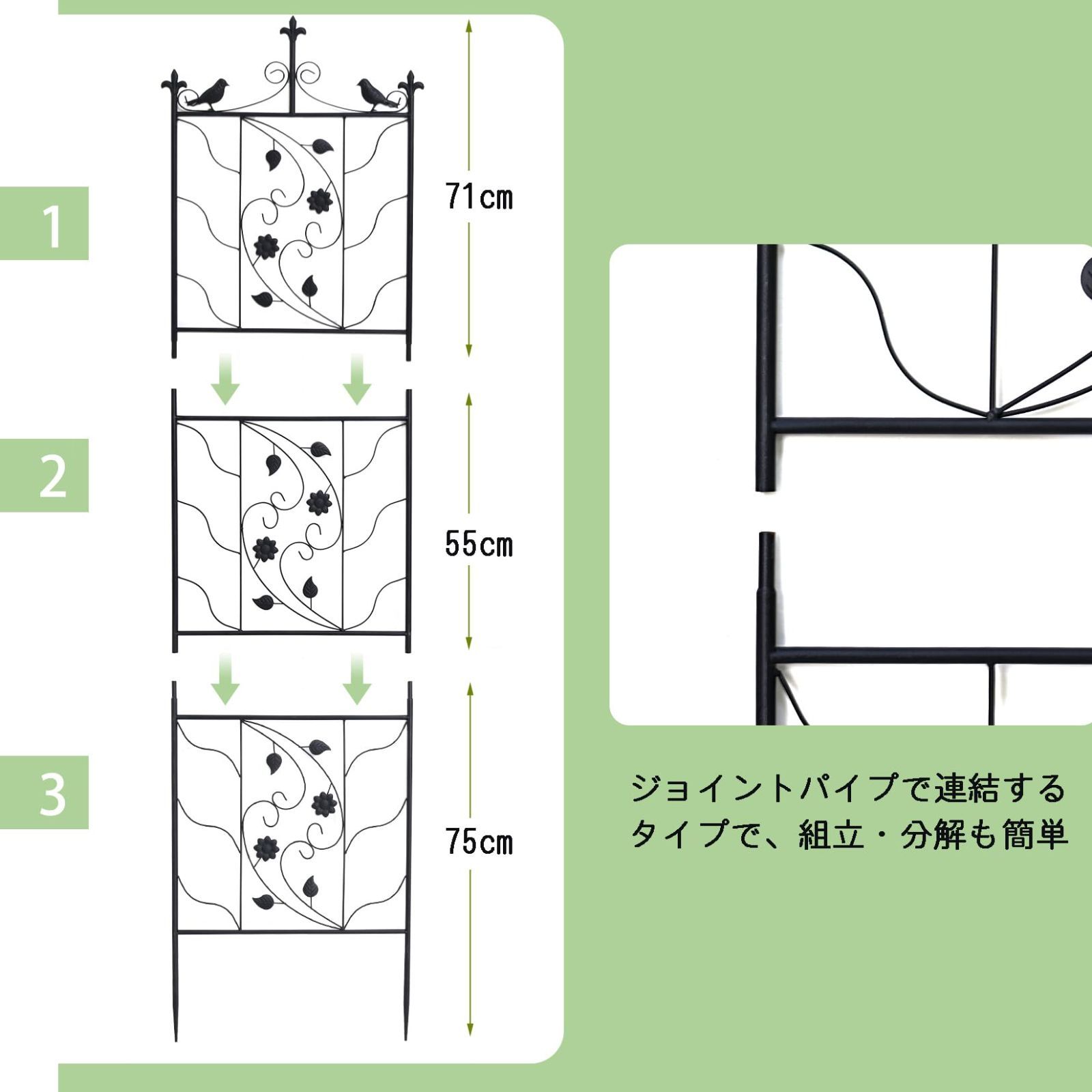 屋外 朝顔
