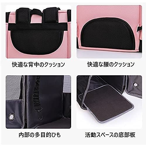 鳥 ペット