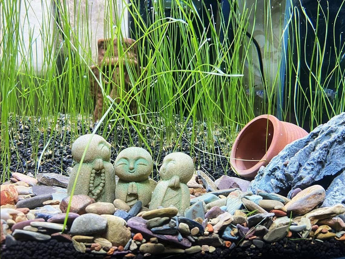 御影石の可愛らしいお地蔵様 数量限定】神仏像 かわいい御影石 幸せ願い縁の良いおきもお (手の花